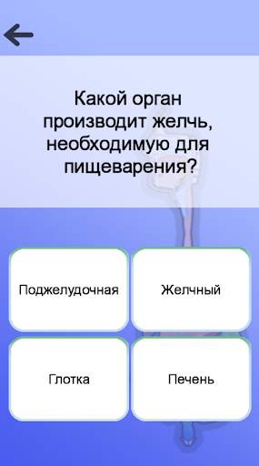 Игра Анатомия скриншот 5