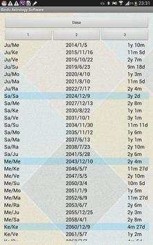 Bindu Astrology Software screenshot 4