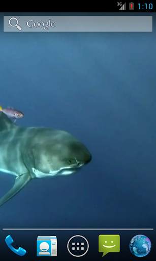 White Shark HD Video Wallpaper screenshot 2