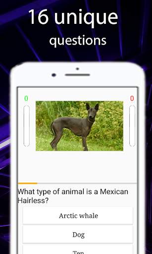 Animals Quiz - Learn All Animals скриншот 2