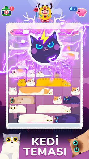 Slidey®: Blok Bulmaca screenshot 8