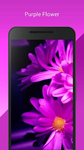 My Flowers Colors HD WALLPAPER screenshot 4
