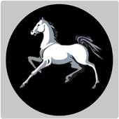 Horse vpn 2020 on 9Apps