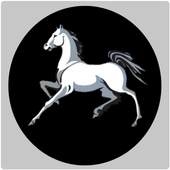 Horse vpn 2020 1.0