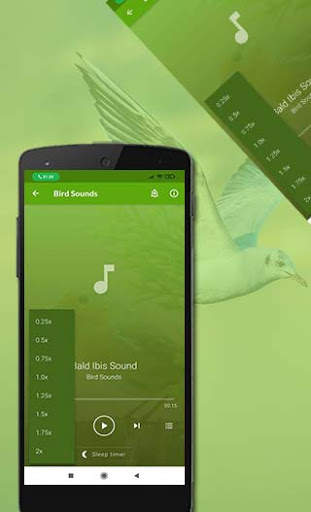 Bird Sounds स्क्रीनशॉट 6