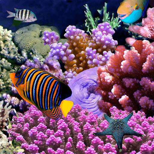 Fish Jigsaw Puzzles screenshot 3