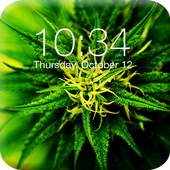 Marijuana Ganja App Lock Screen 1.0