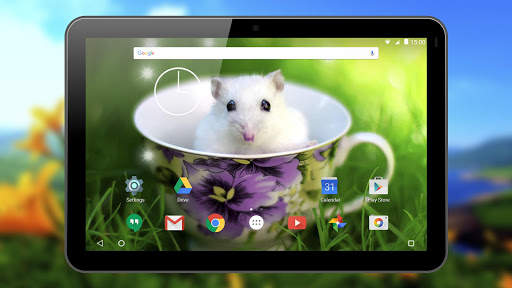 Hamster Live Wallpapers screenshot 12