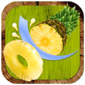 Fruit Blender Ninja 1.4