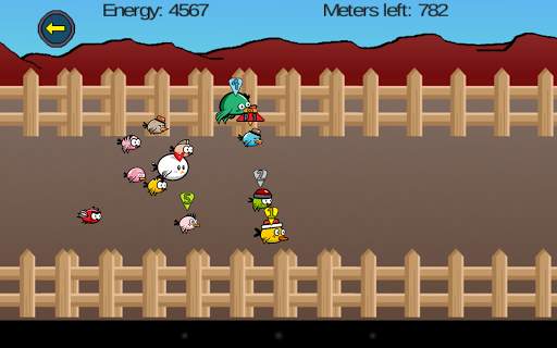 Bird Race स्क्रीनशॉट 12