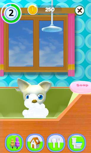 Talking Dog Chihuahua screenshot 1