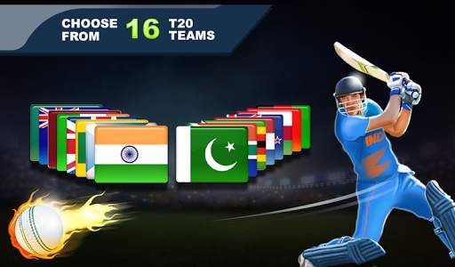 Cricket Champions screenshot 6