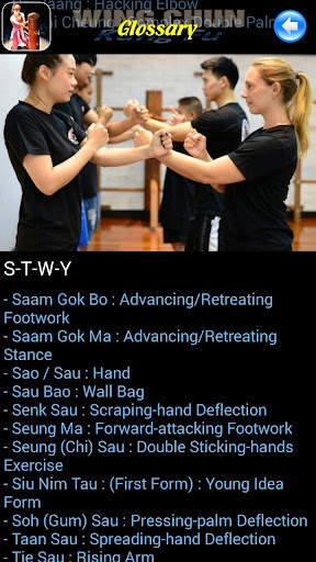 Wing Chun Kung Fu screenshot 3
