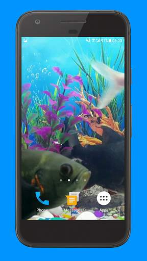 Oscar Fish Aquarium Video 3D screenshot 2