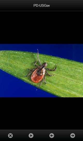 smart Microscope Lite screenshot 5