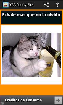 YAA Funny Pics screenshot 3