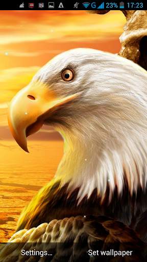 Eagle Live Wallpaper screenshot 3