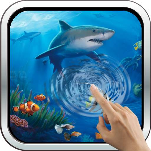 Interactive Shark 11.0