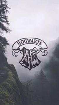 Harry Potter Hd Wallpapers screenshot 5