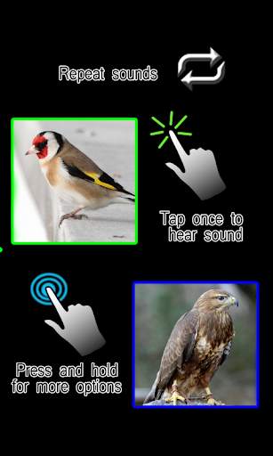 British Birds screenshot 6