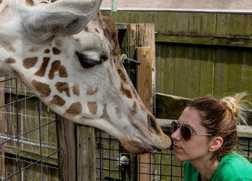 World zoo screenshot 3