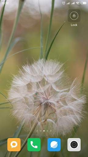 Dandelion Wallpaper HD screenshot 11