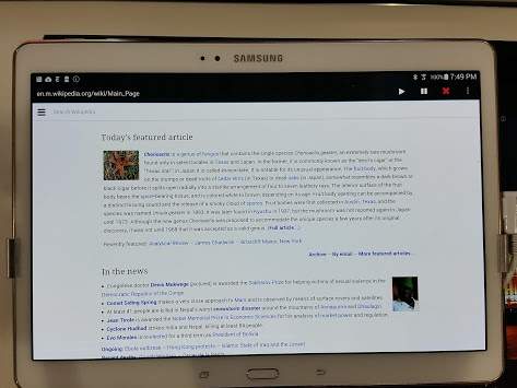 Xandar Talking Browser-Lite screenshot 8
