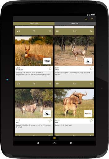 Stud Game Breeders screenshot 12