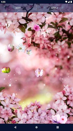Cherry Blossom Live Wallpaper screenshot 4