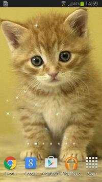 Super Lovely Cat - Free, Funny screenshot 1
