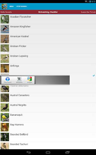 South American Birds Free स्क्रीनशॉट 19