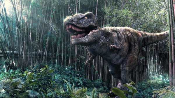 Dinosaur Live Wallpaper (Wallpapers & Backgrounds) screenshot 5