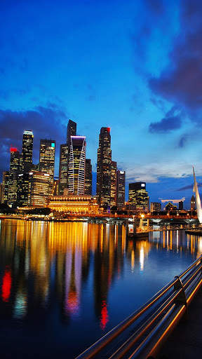 Singapore Night Live Wallpaper screenshot 1