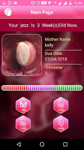 My pregnancy screenshot 3