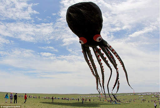 world kites screenshot 2