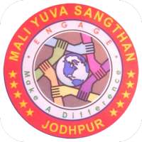 MYS - 2019 | Mali Yuva Sangthan Cricket Tournament logo