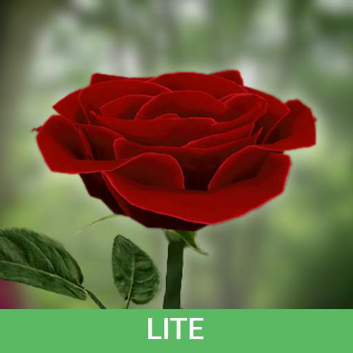 3D Rose Live Wallpaper Lite 5.8