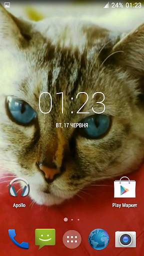 Beautiful Cat Video Wallpaper screenshot 2