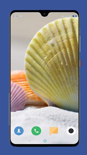 Seashell Wallpaper HD screenshot 16