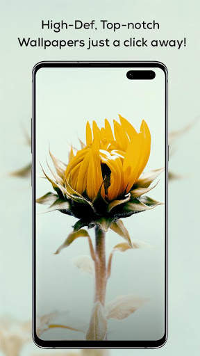 Wapper - HD Wallpapers screenshot 2