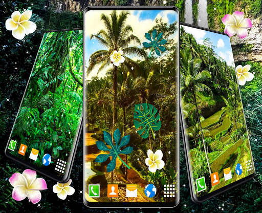 Jungle Live Wallpaper 🌴 Palm Forest Themes screenshot 5
