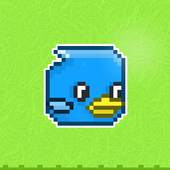 Kooky Birds 1.0