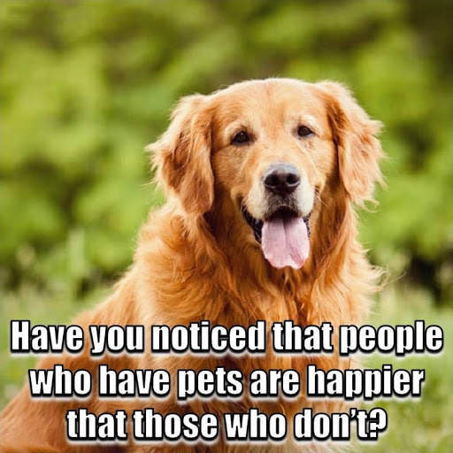 Animal Lover Quotes - Dog Lover Status - Cat Love screenshot 2
