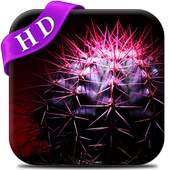 Cactus Live Wallpaper 7.0