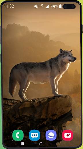 Fox Wallpaper Best HD screenshot 14