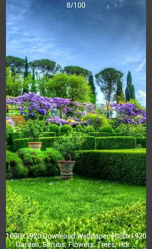 Image Search (Image Download) screenshot 6