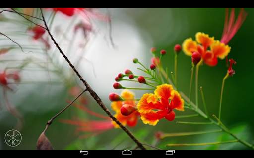 Dch player - Video player, audio player ! screenshot 13