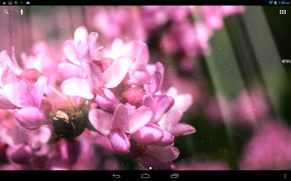 Spring Flowers Live Wallpaper screenshot 2