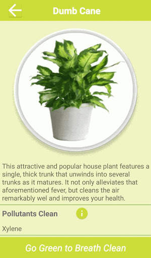 Air Cleaning Plants screenshot 6