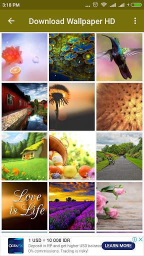 Download Wallpaper HD screenshot 2